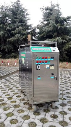 手提式油煙機蒸汽清洗機 江西油煙機蒸汽清洗機 豫翔機械